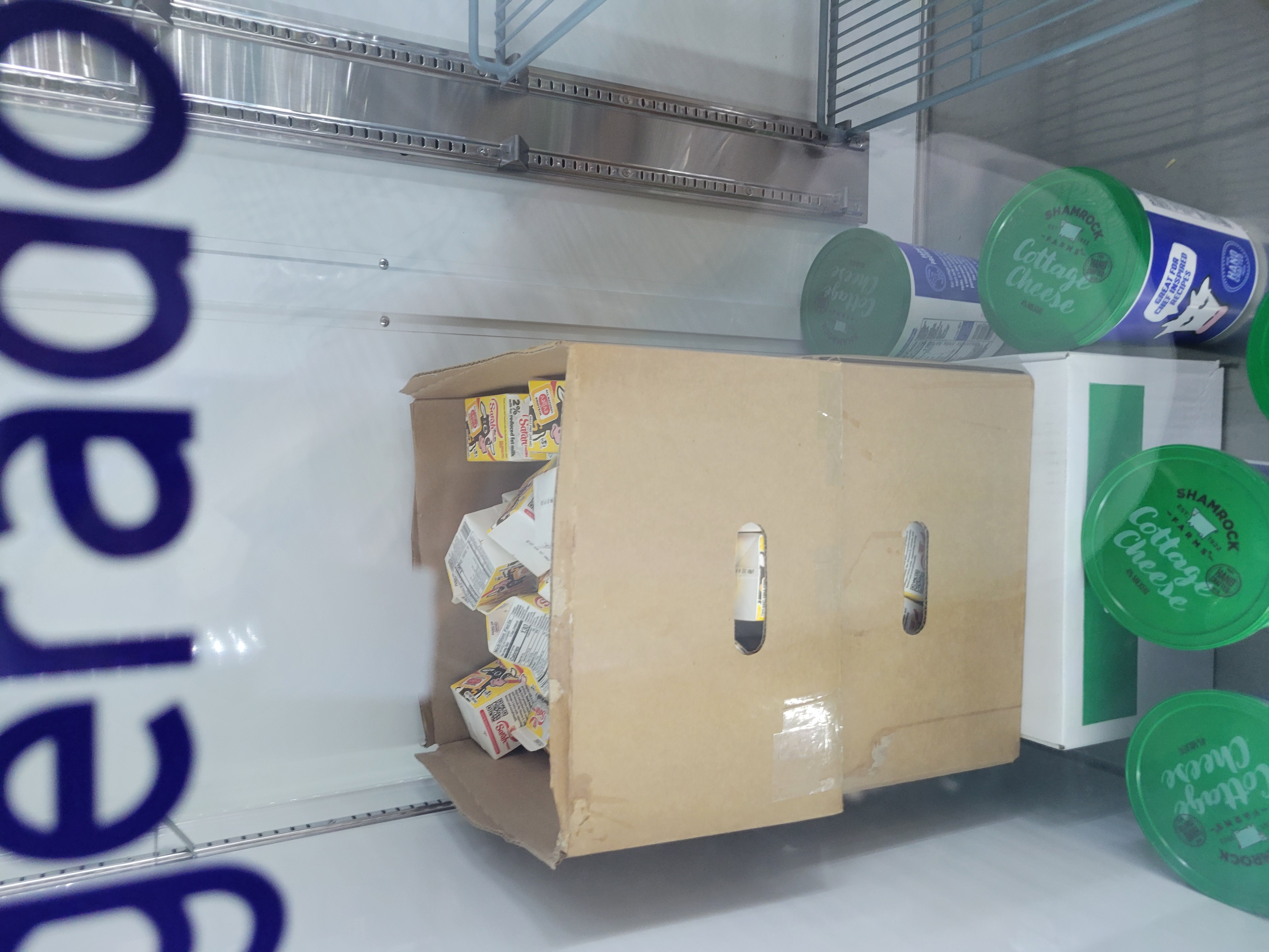 Two banana box bottoms full of half-pint milk cartons on top of box and surrounded by tubs of cottage box in fridge.